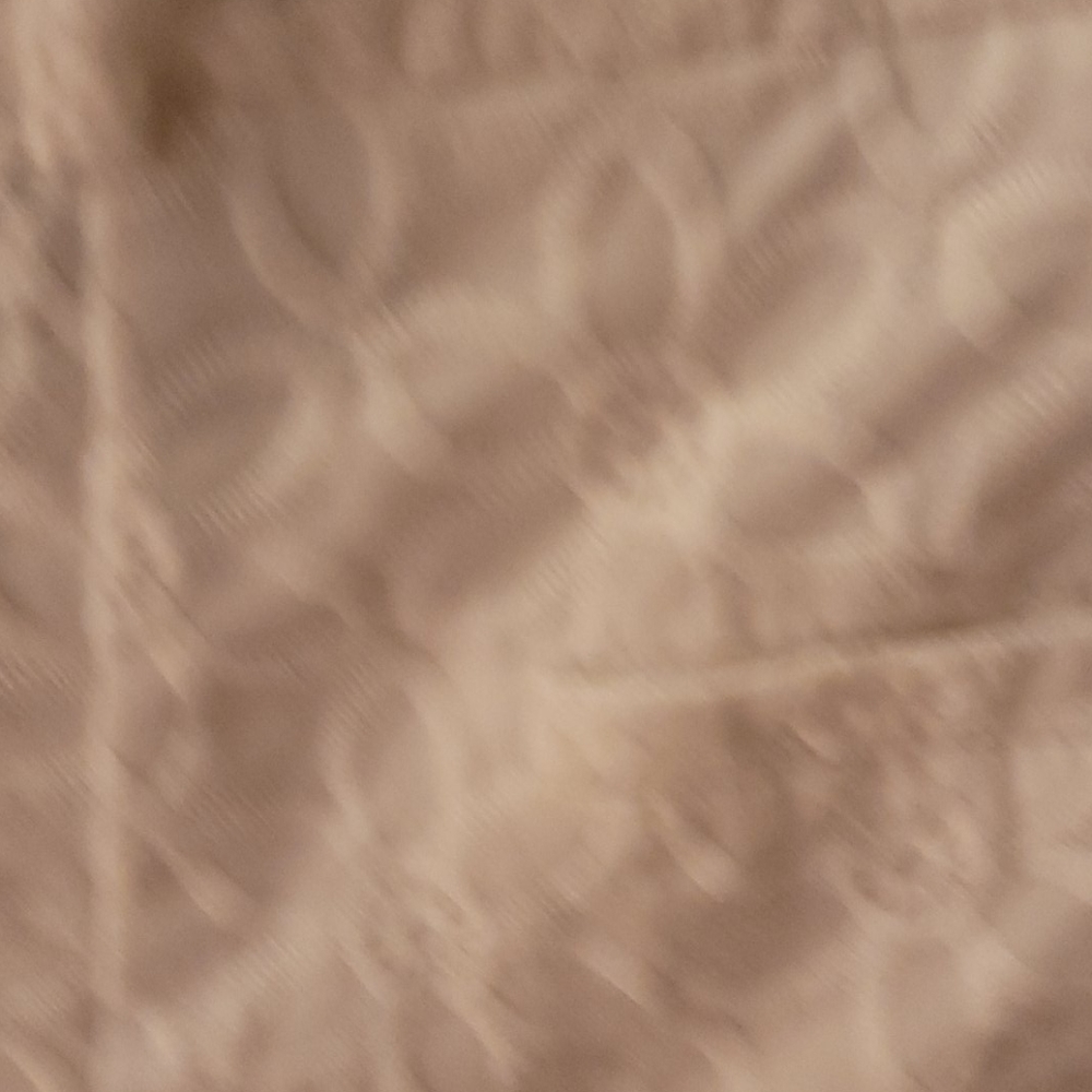 Shorts - Picture 6 of 7